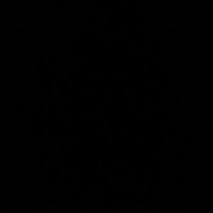 Meet your Posher, Faith